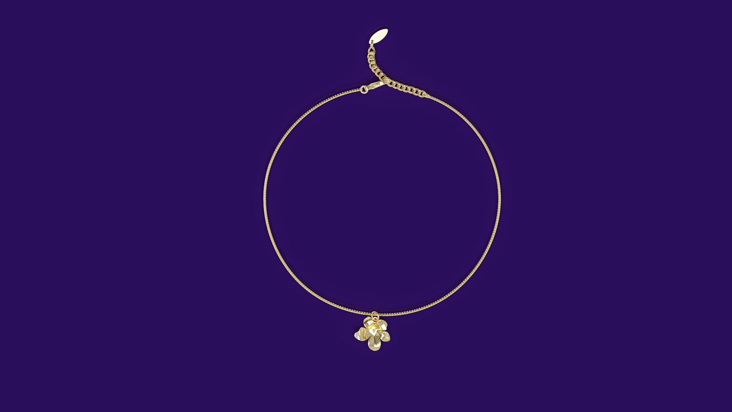 JASMINE