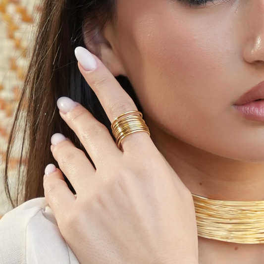 The Story of the Aslak Collection