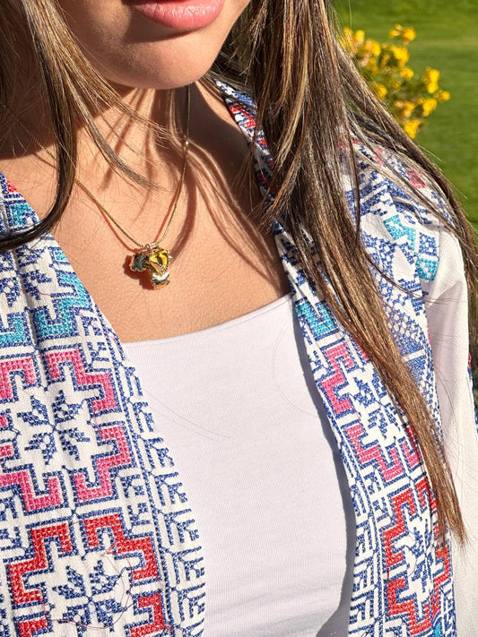 honoring middle eastern culture through ARDI