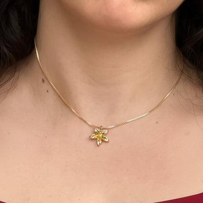 Gold necklace with a star-shaped pendant worn by a person.